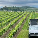 Urlaub am Kaiserstuhl: Camping in den Weinbergen