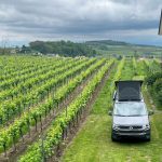 Urlaub am Kaiserstuhl: Camping in den Weinbergen
