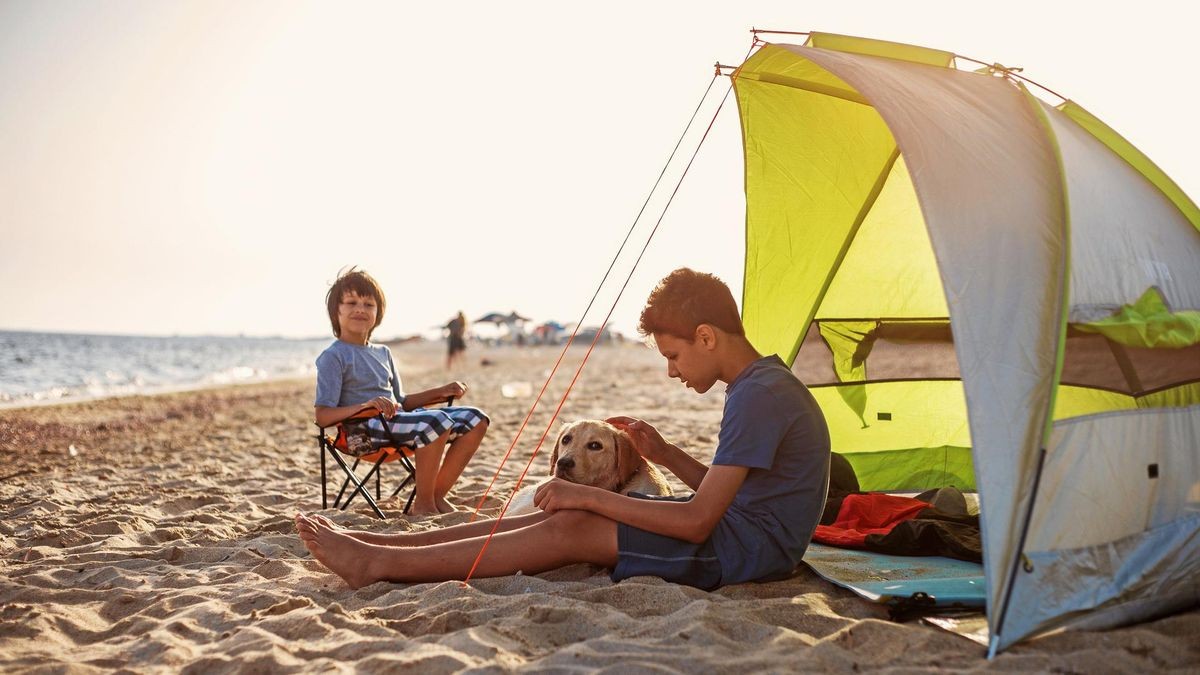 strandmuschel-test-629hvv-1.jpg Urlaub am Meer: Strandmuscheln im Test welche schützt am besten? – Bild 1
